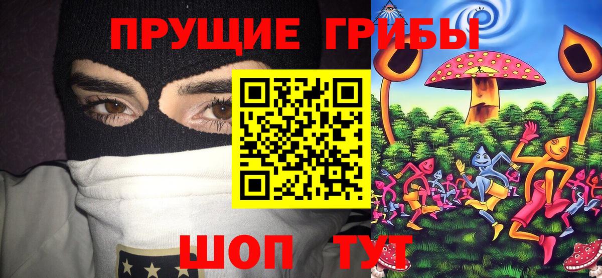 Псилоцибиновые грибы прущие грибы Тамбов