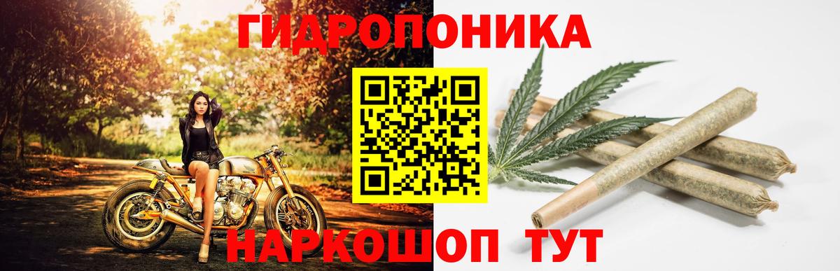 Шишки марихуана MAZAR  Вход с VPN  Тамбов  Каннабис семена  Канабис марихуана 